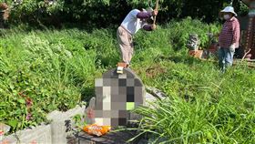 培墓(門諾醫院提供)