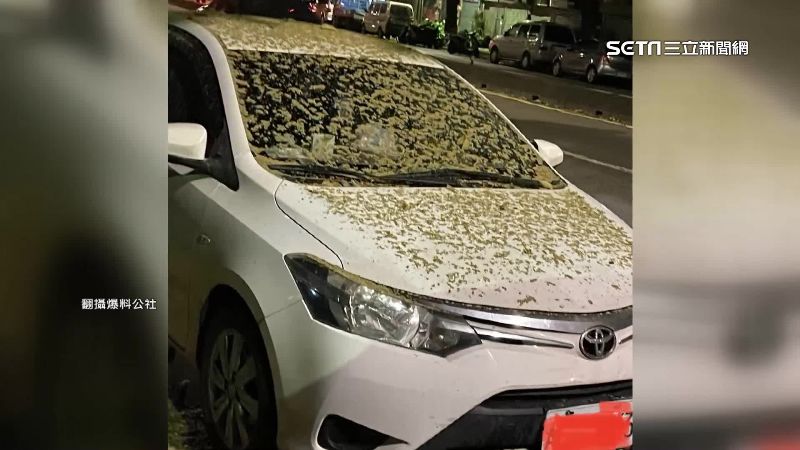 停車卻遇爛果實掉滿車　1999回這句他氣炸