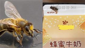 蜜蜂、蜂蜜牛奶、食蚜蠅（圖／翻攝自PIXABAY、路上觀察學院）