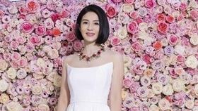 楊采妮（圖／品牌提供）