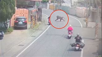 早知狒狒身世？里長通報遭六福村要求撤文