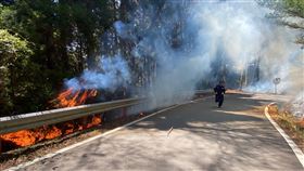 大鹿林道火警！濃煙竄山林、火勢延燒