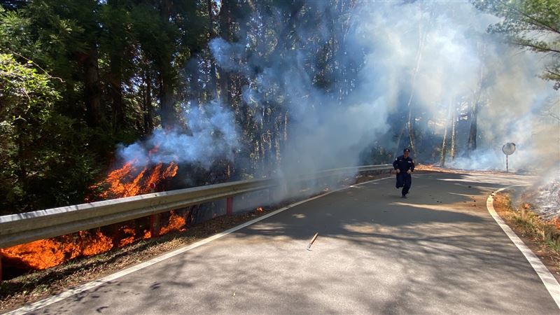 新／大鹿林道火警！濃煙竄山林、火勢延燒