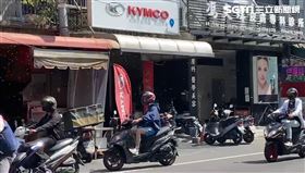 高雄,蜜蜂,楠梓,騎士,分蜂期