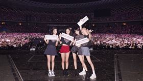 BLACKPINK  臉書粉專