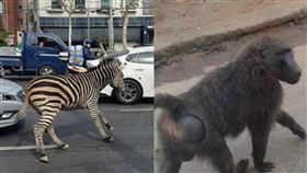 （圖／翻攝自IG／jog.0n）