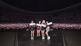 BLACKPINK  臉書粉專