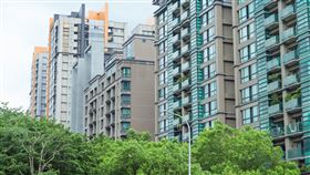 三峽北大特區（記者陳弋攝影）