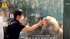 中國大媽挑釁沸沸（圖／翻攝自西瓜視頻）