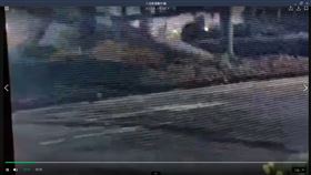 台北,大安區,賓士,公車,車禍,椰子樹（圖／翻攝畫面）