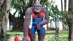 桃園,平鎮,狒狒,黃偉哲,台南,猩猩