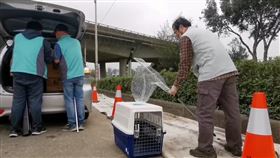 狒狒,新屋,桃園,最後出沒,汽修廠,中山路,新屋交流道