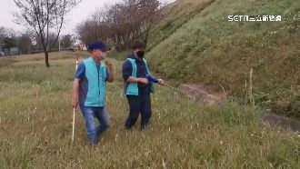 桃園狒狒出沒新屋交流道！動保處持續搜索