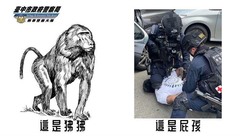 中警發狒文　路上遇狒狒VS屁孩要這樣做