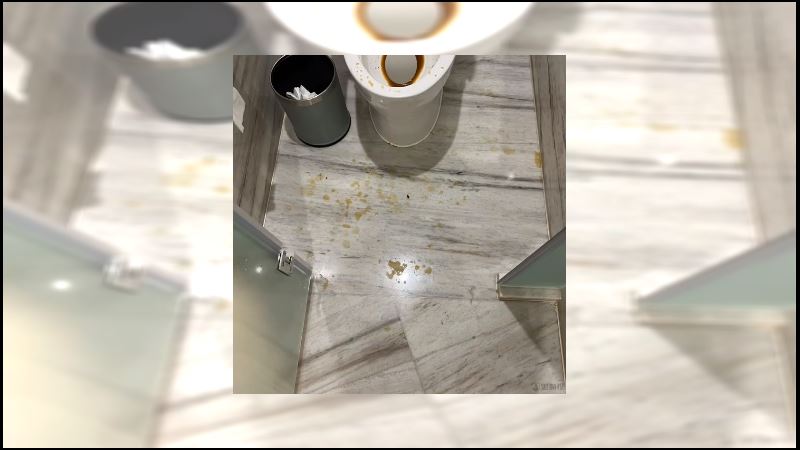 入住五星級飯店！他沖馬桶慘遭屎水噴全身