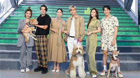 
羅志祥、胡宇威､陳楚河、魏蔓､任容萱、李宣榕出席《TOP DOG回家》首播記者會。
