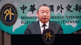 拉丁美洲及加勒比海司司長俞大㵢（圖／記者劉懿萱攝影）