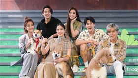  李宣榕（左起）、陳楚河、魏蔓､羅志祥、任容萱和胡宇威出席《TOP DOG回家》首播記者會。