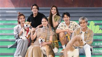 TOP DOG招回大挑戰　眾星誰會是最大贏家