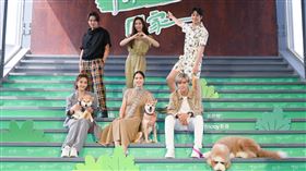 
羅志祥、胡宇威､陳楚河、魏蔓､任容萱、李宣榕出席《TOP DOG回家》首播記者會。
