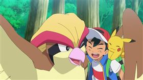 《目標成為寶可夢大師》最後一話，比雕回歸。（圖／翻攝自アニメ「ポケットモンスター」公式 Twitter）