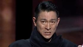 劉德華,張柏芝,向太,大隻佬