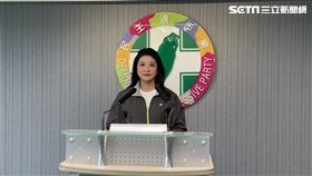 民進黨發言人林楚茵（圖／記者高逸帆攝影）