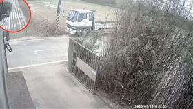 東非狒狒,富岡,食物,民宅（圖／翻攝自臉書《我是富岡人》）