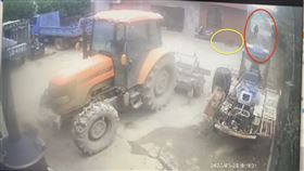 東非狒狒,民宅,地瓜,圍捕（圖／翻攝畫面）