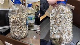 有網友特地花了1.5小時撿菸蒂，成果十分驚人。（圖／翻攝自爆廢公社二館 臉書）