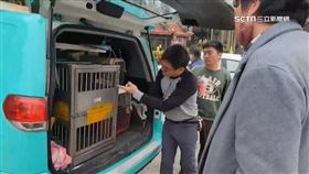 狒狒沿河床趴趴走 民眾嚇