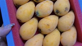 網友吃枇杷被笑老人。（圖／翻攝自爆怨2公社 臉書）