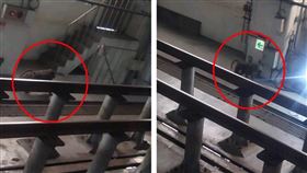 狒狒,富岡基地,車站,桃園（圖／翻攝自臉書《湯瑪士的日常》）