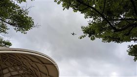 桃市府農業局持續追捕狒狒（1）桃園市政府農業局指出，目前狒狒停留在楊梅富岡地區，已掌握出沒熱區，同時出動空拍機作業，27日持續追捕。（桃園市政府農業局提供）中央社記者吳睿騏桃園傳真  112年3月27日