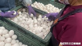 雞蛋（翻攝畫面）