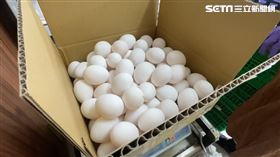 雞蛋（翻攝畫面）