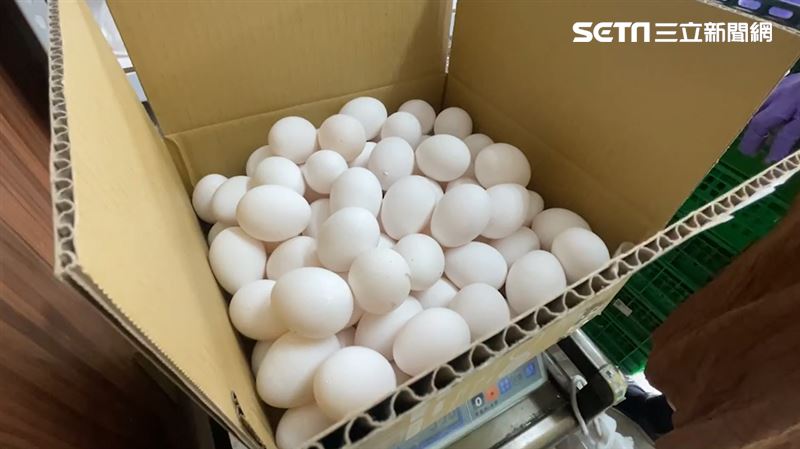 上億補助超思進口蛋　他：農業部說清楚