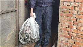 狒狒,富岡國中,落網（圖／翻攝畫面）