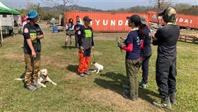 新北市,新北市消防局,搜救犬,
