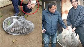 狒狒,農業局,獵槍,拍照,官場文化,我是 Sabrina，我思故我在

