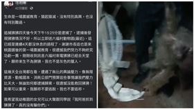 農業局,狒狒,東非狒狒,盧紀燁（圖／翻攝畫面）