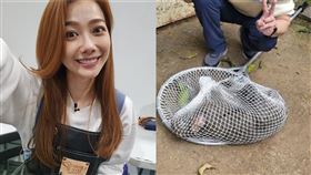 狒狒慘遭獵槍奪命！邵庭悲喊「想知道真相」：身而為人我真的很抱歉。（圖／翻攝自邵庭臉書／翻攝畫面）