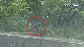 a狒死全民.怒2400