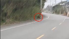 a狒死全民.怒2400