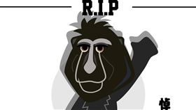 來源不明的東非狒狒在桃園市自由行10餘天後，昨（27）日下午被捕獲，但卻不幸遭獵槍打傷身亡，引發議論。臺中市政府警察局第一分局今（28）天貼出一張圖「悼念這位在線僅18天，讓網路狒騰的直播主」。（圖／翻攝自臺中市政府警察局第一分局臉書）