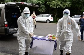 狒狒初步X光、斷層掃描、採取毛皮、血液、肌肉組織(林務局 提供)