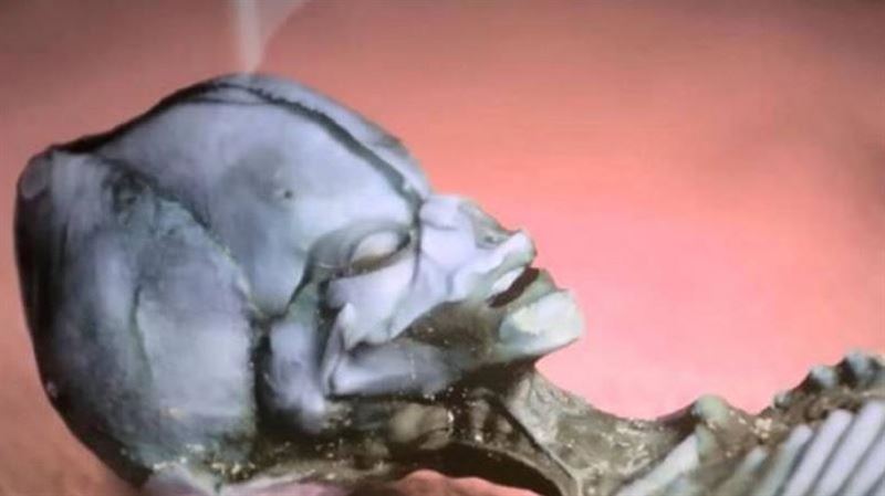 科學家曝「外星人木乃伊」檢測真相！