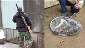 狒狒逃亡記，落幕，富岡國中附近，落網，麻醉槍