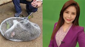 宋燕旻、東非狒狒（圖／翻攝自臉書）