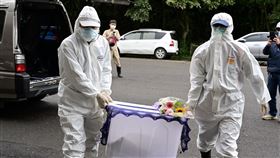 狒狒  林務局提供